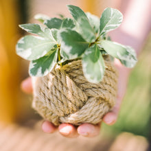 Load image into Gallery viewer, Mini Unbound Planter Jute